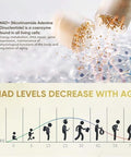 Life Nutrition-Nad Supplement 1000Mg 120 Capsule - True Nad+ & Resveratrol,Nmn Alternative For Anti-Aging Natural