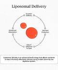 CYMBIOTIKA Liposomal Vitamin B12 Liquid Supplement 1250 mcg Supports Energy Cell Production Helps Strengthen Hair Skin and Nails NonGMO Gluten Free Sugar Free Keto and Vegan Friendly 2 oz
