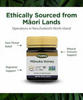 Flora - MÃƒâ€žÃ‚Ânuka Honey MGO 515+/15+ UMF, New Zealand Honey, 100% Traceable MGO,Natural Healing, Sore Throat Relief, Aids Digestion, 8.8-oz. Jar