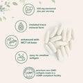 Micro Ingredients Zinc Picolinate 100 Mg Per Serving 300 Softgels Zinc Supplement For Women and Men Made With Mct Oil NonGmo