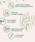 Micro Ingredients Hmb 1000Mg 240 Softgels With Coconut Oil Highly Bioavailable Hmb Supplements For Men & Women Calcium Beta-Hydroxy Beta-Methylbutyrate Supports Lean Muscle Mass & Muscle Recovery