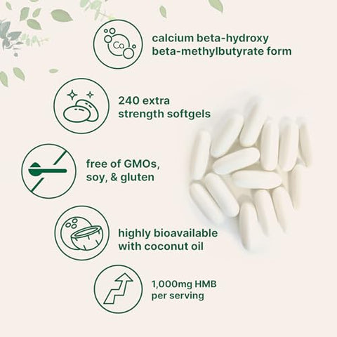 Micro Ingredients Hmb 1000Mg 240 Softgels With Coconut Oil Highly Bioavailable Hmb Supplements For Men & Women Calcium Beta-Hydroxy Beta-Methylbutyrate Supports Lean Muscle Mass & Muscle Recovery