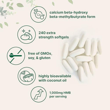 Micro Ingredients Hmb 1000Mg 240 Softgels With Coconut Oil Highly Bioavailable Hmb Supplements For Men & Women Calcium Beta-Hydroxy Beta-Methylbutyrate Supports Lean Muscle Mass & Muscle Recovery