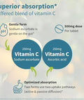 Igennus Vitamin C Chewable 250500mg Gentle and Buffered for Kids and Adults Optimized Absorption with Sodium Ascorbate and Ascorbic Acid Sugar Free Natural Orange and Lemon Flavors 120 240 Servings