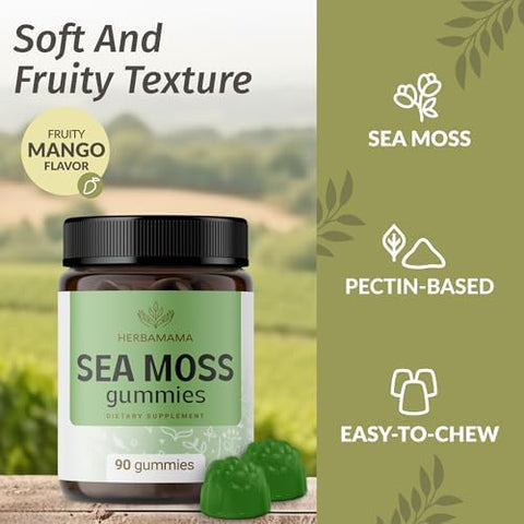 HERBAMAMA Irish Sea Moss Gummies 1600mg True Sea Moss Supplement with Bladderwrack and Burdock Root Vegan NonGMO Skin Glow Energy and Immune Support 90 PectinBased MangoFlavored Chews