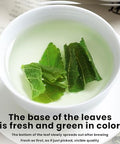 Mulberry leaf tea 7.05 oz -Fried mulberry leaves after frost-Tea fragrance Ã¦Â¡â€˜Ã¥ÂÂ¶Ã¨Å’Â¶200g