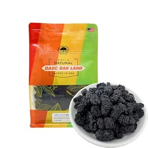 UnleashÃƒÂ¢Ã¢â€šÂ¬Ã¢â€žÂ¢d Organic Mulberry Juice Powder 16oz ÃƒÂ¢Ã¢â€šÂ¬Ã¢â‚¬Å“ 100% Pure Superfood, Rich in Vitamins, Supports Detox & Wellness