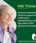 Bestvite Milk Thistle 300Mg (240 Vegetarian Capsules) - Standardized To 80% Silymarin Flavonoids - No Stearates - Vegan - Non Gmo - Gluten Free