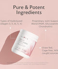 Alaya Naturals Multi Collagen Powder 20 Serving