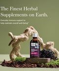 Gaia Herbs Black Elderberry(Sambucus Nigra) Syrup Extra Strengthimmune Support Supplementmade With Organic Black Elderberries For Immune Systemusda Organic Formula