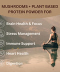 Lakanto Classic Monk Fruit Sweetener with Erythritol 1 lb and ChagaRoot MycoProtein Mushroom Protein Powder Chocolate 1.76 lb