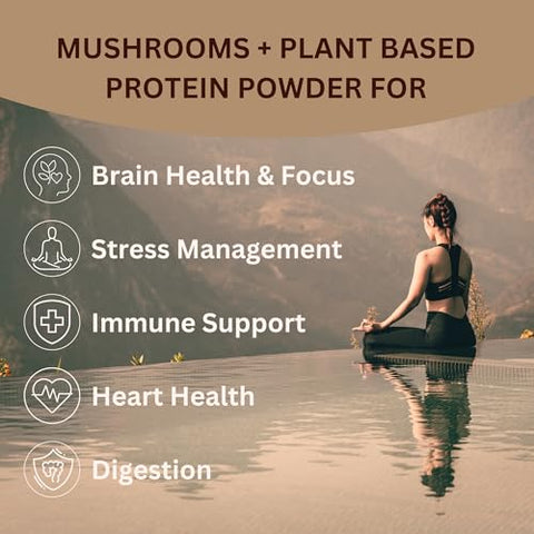 Lakanto Classic Monk Fruit Sweetener with Erythritol 1 lb and ChagaRoot MycoProtein Mushroom Protein Powder Chocolate 1.76 lb