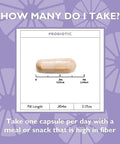 Celebrate Vitamins CelebrateONE 18 Multivitamin with Iron and Balance Probiotic + Prebiotic Capsules Bundle Bariatric Vitamins for PostGastric Bypass and Sleeve Gastrectomy Essential Digestive and Nu