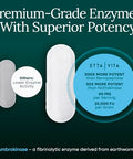 Etta Vita Potent Lumbrokinase Supplement (120 Servings) 40Mg/Serving (Max Activity - 800000 Units) - Lumbrokinase Enzymes Capsules For Energy Support Digestion Cognition & Gut Health - Similar To Nattokinase
