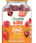Lifeable Zinc For Kids 25Mg Great Tasting Natural Flavored Zinc Gummies Gluten Vegetarian Non Gmo Zinc Supplements Kids Zinc For Immune Support 90 Gummies
