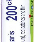 Boiron Berberis Vulgaris 200Ck For Skin Rash With Round Red Patches & Thin Flakes 80 Pellets