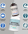 Amandean Premium Creatine Hcl & Marine Collagen Bundle. Usamade Concret. 7X Concentrated. Wildcaught Hydrolyzed Fish Collagen Protein. Antiaging. Support Recovery & Lean Muscle. Healthy Skin