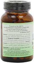 Organic India Turmeric Formula6