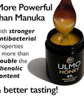 Ulmo Honey - More Powerful than Manuka | & Smoother Tasting - 12oz
