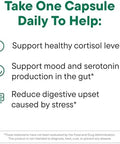 Dailynouri Daily Nouri Stress Support Probiotic For Women & Men Supports Cortisol Management Stress Relief Mood Digestion & Gut Health 3 Clinically Studied Strains + Vegan Omega Oil 30Day Supply