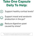 Dailynouri Daily Nouri Stress Support Probiotic For Women & Men Supports Cortisol Management Stress Relief Mood Digestion & Gut Health 3 Clinically Studied Strains + Vegan Omega Oil 30Day Supply