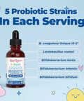 Maryruth's Organic Infant Liquid Probiotic For Ages 6 12 Months 1 Oz
