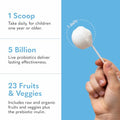 Garden Of Life Raw Probiotics Kids - 5 Billion Cfu - Whole Food Probiotic For Gut Health & Immune Support - For Children Ages 1 Year & Older 60 Servings