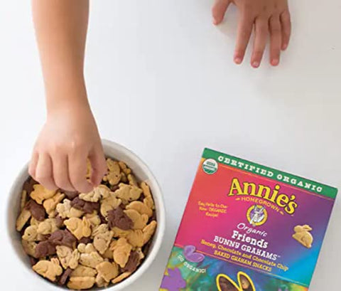Annie's Organic Friends Bunny Grahams - Pack of 20 - Delicious Baked Grahams - Chocolate Chip and Chocolate Honey Flavors - Certified Organic