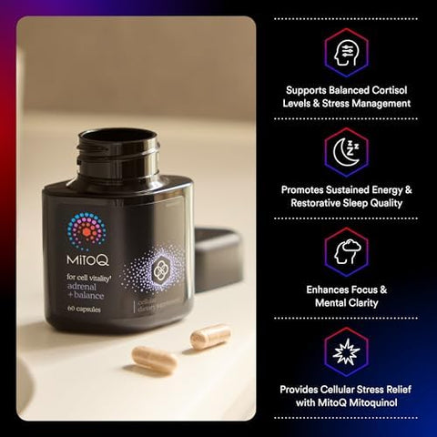 Mitoq +Balance Sensoril Ashwagandha Rhodiola & Maritime Support Balanced Cortisol Levels Stress Management Restorative Sleep & Cell Health (60 Capsules)