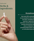 Gaia Herbs Pro Glutathione 500 Antioxidant Supplement Supports Cellular Health Supplement With Glutathione For Men & Women Vegan Gluten Soy 30 Capsules (30 Servings)