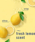 Febreze Kitchen Air Freshener Odor-Fighting Plug In Alternative Air Fresheners For Home And Bathroom And Kitchen Closet Air Fresheners Fresh Lemon Scent 6 Count