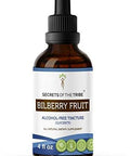 Secrets of the Tribe Bilberry Fruit Alcohol-Free Liquid Extract, Bilberry (Vaccinium Myrtillus) Dried Fruit Tincture Supplement (4 FL OZ)