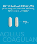 Biote Nutraceuticals - Bacillus Coagulans - Gut + Digestive (60 Capsules)