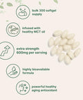 Micro Ingredients Alpha Lipoic Acid 600Mg With Mct Oil 300 Softgels Ala Supplement For Liver Antioxidants Nerve Cardiovascular Health Support Non-Gmo Gluten-Free Soy-Free