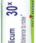 Boiron Aurum Metallicum 30X For Irritability With Intolerance To Noise 80 Pellets