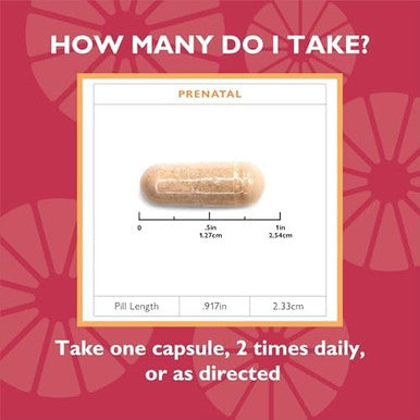 Celebrate Vitamins Bariatric Prenatal Multivitamin Capsules With Folate (Folic Acid), Vitamin A, Iron, Iodine, And Choline, For Roux En Y And Sleeve Gastrectomy Patients, 60 Count