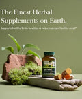 Gaia Herbs Agile Mind Brain & Cognitive Support Herbal Supplements With Organic Turmeric Root Bacopa Black Pepper And Ginkgo Biloba 60 Vegan Liquid Phytocapsules (30Day Supply)