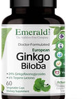 Emerald Labs Ginkgo Biloba Extract - Brain Health Supplement - Antioxidant & Energy Support - 60 Vegetable Capsules (30-Day Supply)