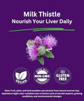 Paradise Herbs Milk Thistle Active Whole Spectrum Extract Super Potent Ultra Pure Vegan Non Gmo Gluten 120 Vegetarian Capsules