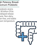 Nutricology Restorebiotic Complete High Potency Probiotic No Refrigeration 60 Vegetarian Capsules