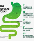 Iberogast Gummies Upset Stomach Relief Helps Relieve A Combination Of Occasional Indigestion/Upset Stomach Gas Heartburn Bloating Nausea And Abdominal Discomfort Natural Elderberry Flavor 30Ct