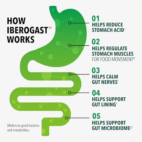 Iberogast Gummies Upset Stomach Relief Helps Relieve A Combination Of Occasional Indigestion/Upset Stomach Gas Heartburn Bloating Nausea And Abdominal Discomfort Natural Elderberry Flavor 30Ct