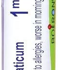 Boiron Natrum Muriaticum 1M For Runny Nose Due To Allergies 80 Pellets