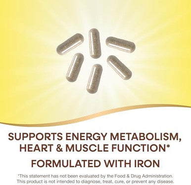 Nature'S Way Alive Max6 Potency Adult Complete Multivitamin, With Iron, Vitamins A, C, E & B-Vitamins Including Methylated B12 & Folate, Supports Energy Metabolism, 90 Capsules (Packaging May Vary)