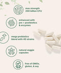 Micro Ingredients Probiotics 200 Billion Cfu 120 Veggie Capsules Mega Probiotics For Men & Women 40 Strains With Prebiotics Postbiotics & Digestive Enzymes Gut Immune & Digestive Health