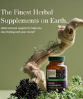 Gaia Herbs Black Elderberry - Daily Immune Support Supplement To Help Maintain Well-Being - With Black Elderberries And Acerola Fruit For Antioxidant Support - 60 Vegan Capsules (30-Day Supply)