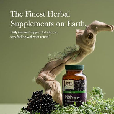 Gaia Herbs Black Elderberry - Daily Immune Support Supplement To Help Maintain Well-Being - With Black Elderberries And Acerola Fruit For Antioxidant Support - 60 Vegan Capsules (30-Day Supply)