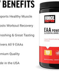 Force Factor Essential Amino Acids Full Spectrum Eaas Amino Acids Powder Amino Acids Supplement For Women And Men To Support Healthy Muscle And Workout Recovery Cherry Limeade 30 Servings