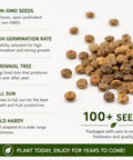 Black Mulberry Seeds for Planting, 100+ Heirloom Non-GMO Morus Nigra Seeds, Fruit Tree Seeds for Home Garden, Easy to Grow, Perennial Outdoor Plantin