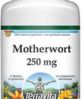 Terravita Motherwort - 250 Mg (100 Capsules, Zin: 512999) - 2 Pack